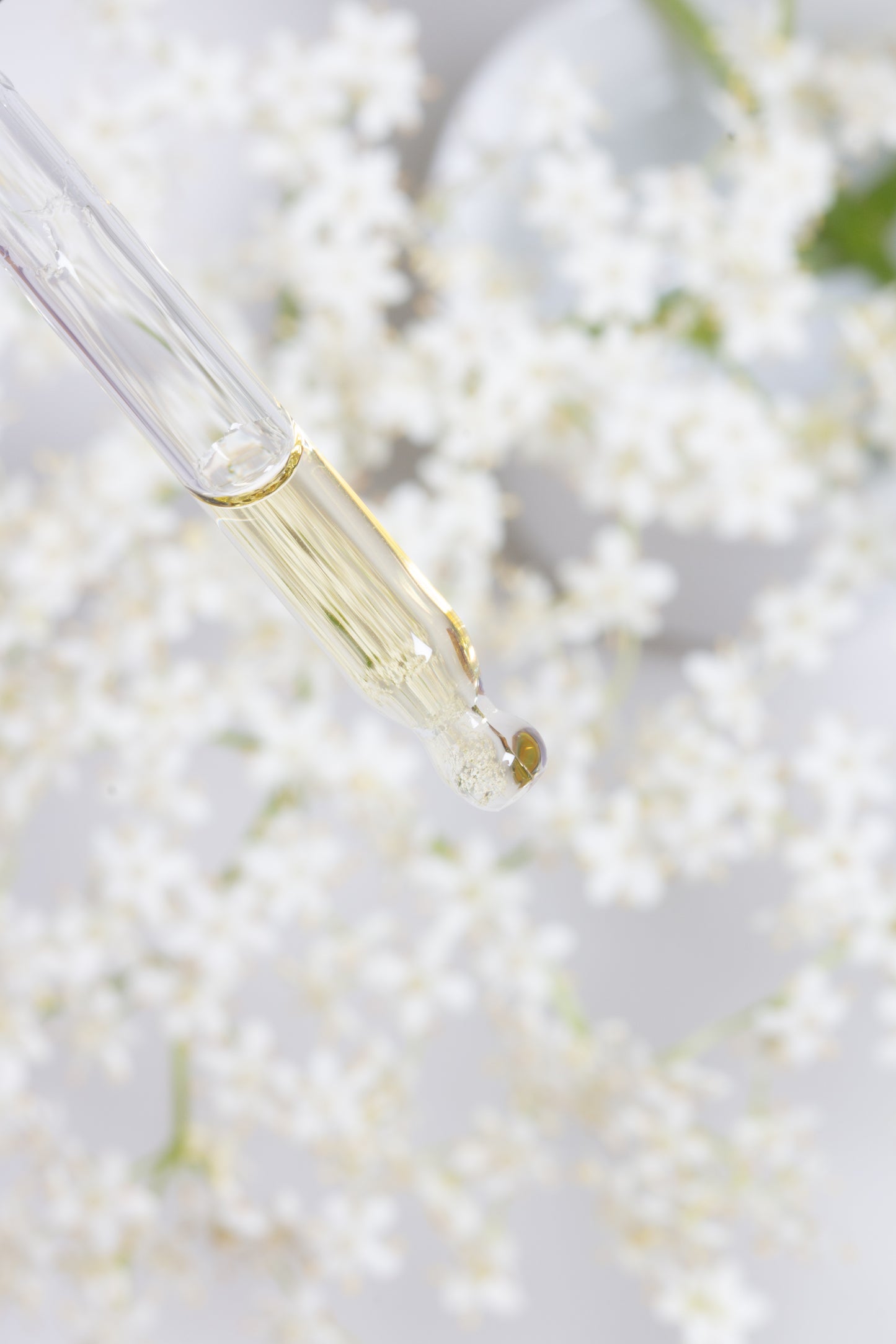 soft elderflower treatment serum