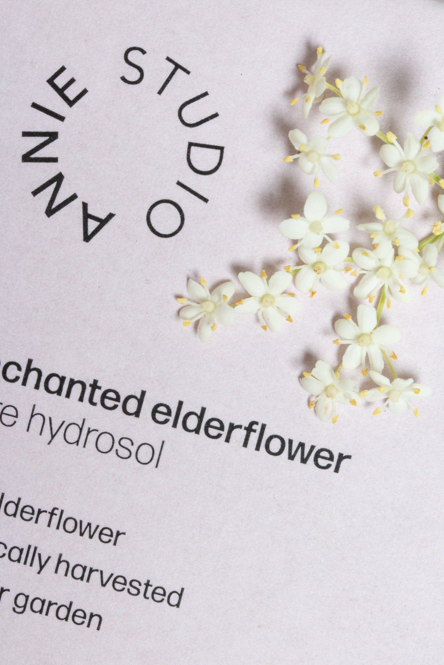 enchanted elderflower