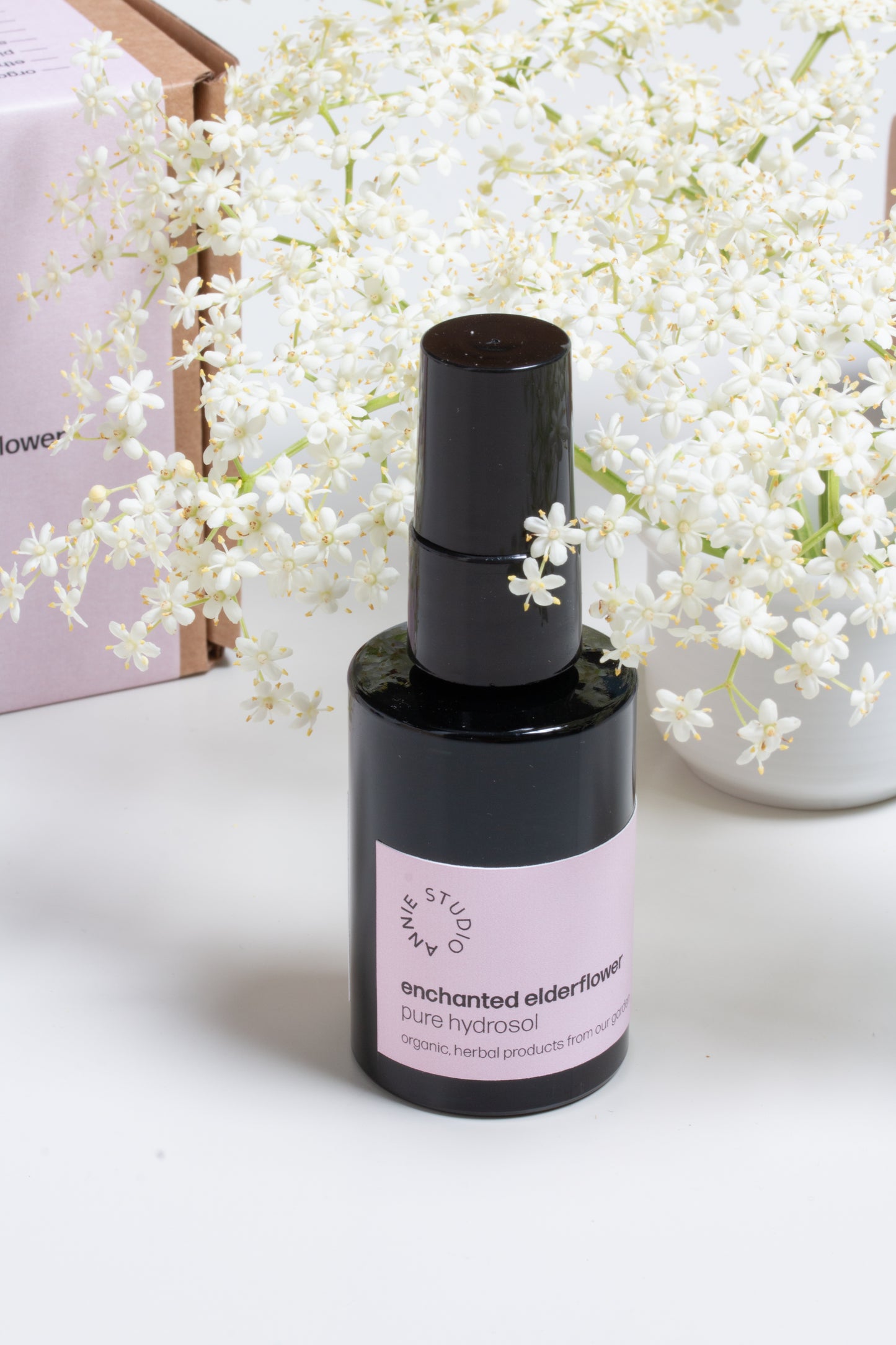 enchanted elderflower