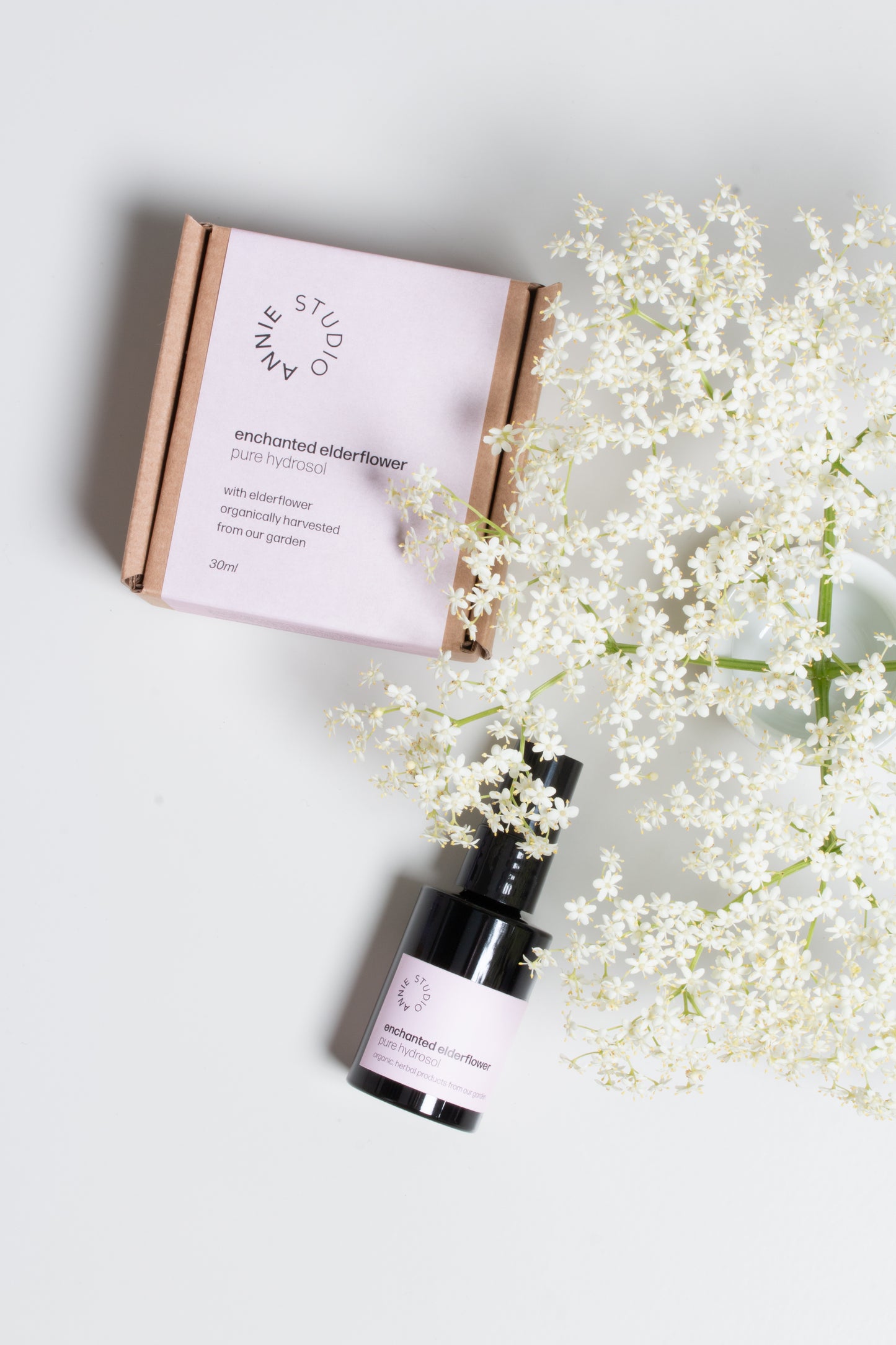 enchanted elderflower