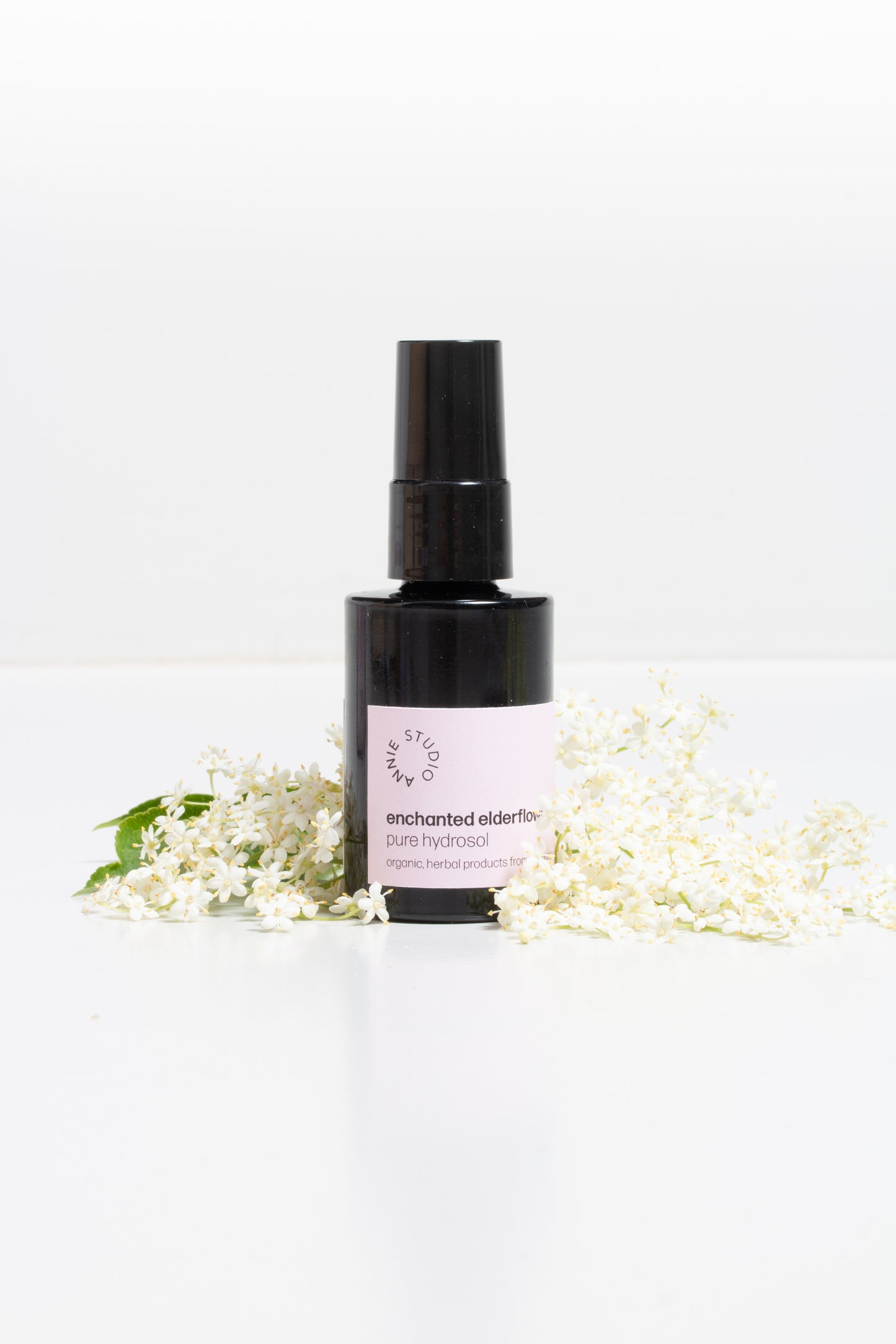 enchanted elderflower