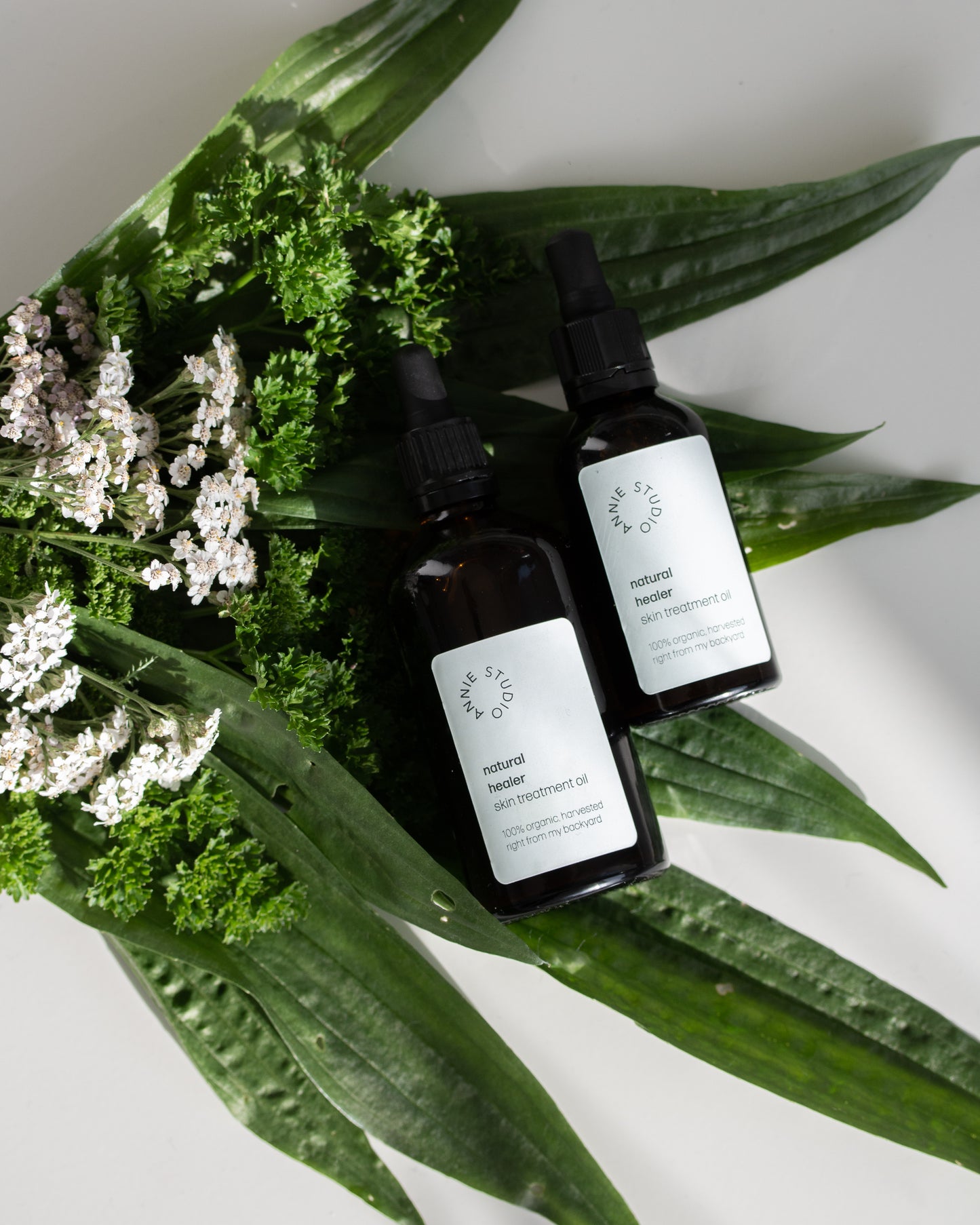 natural healer skin treatment oil