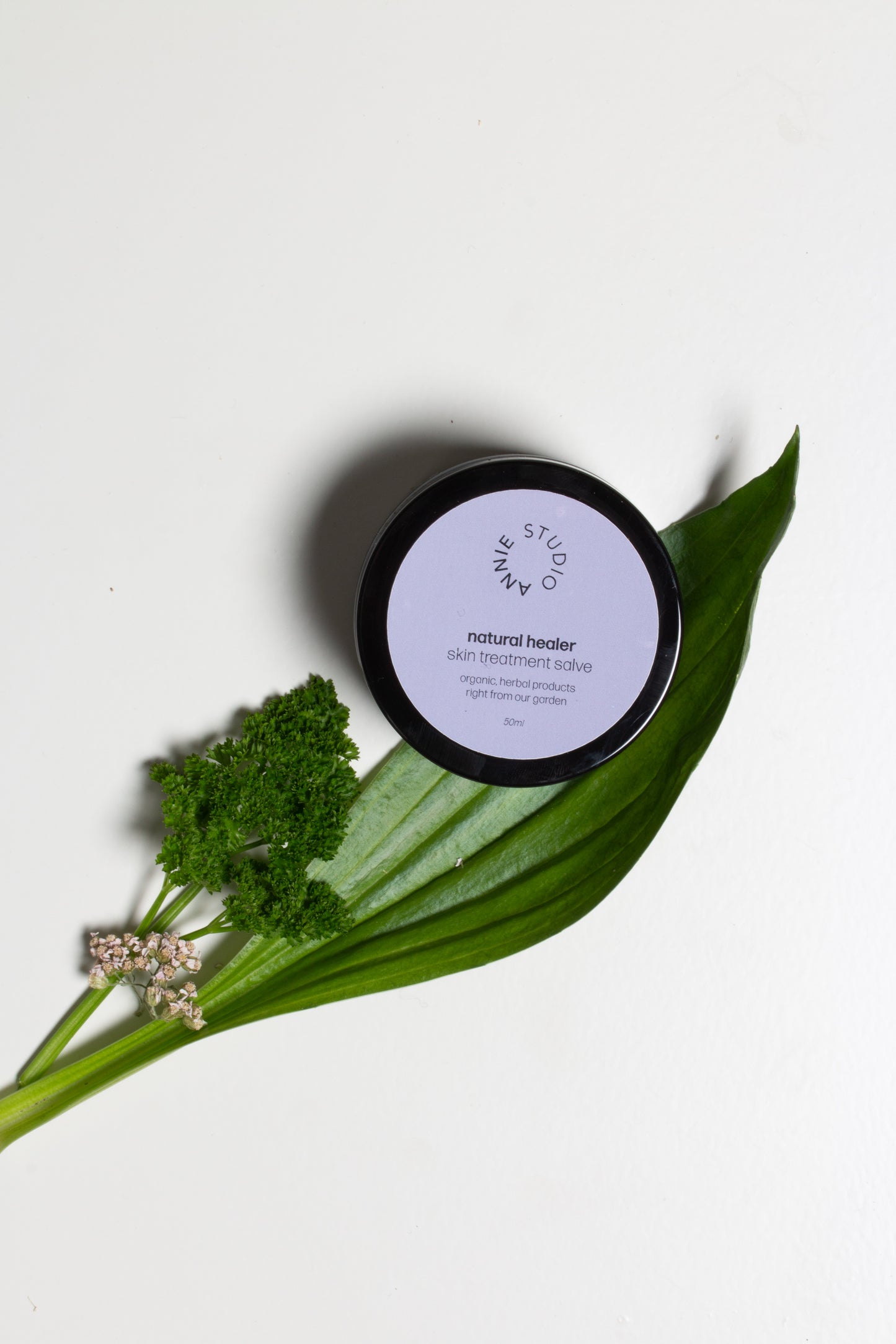 natural healer skin treatment salve